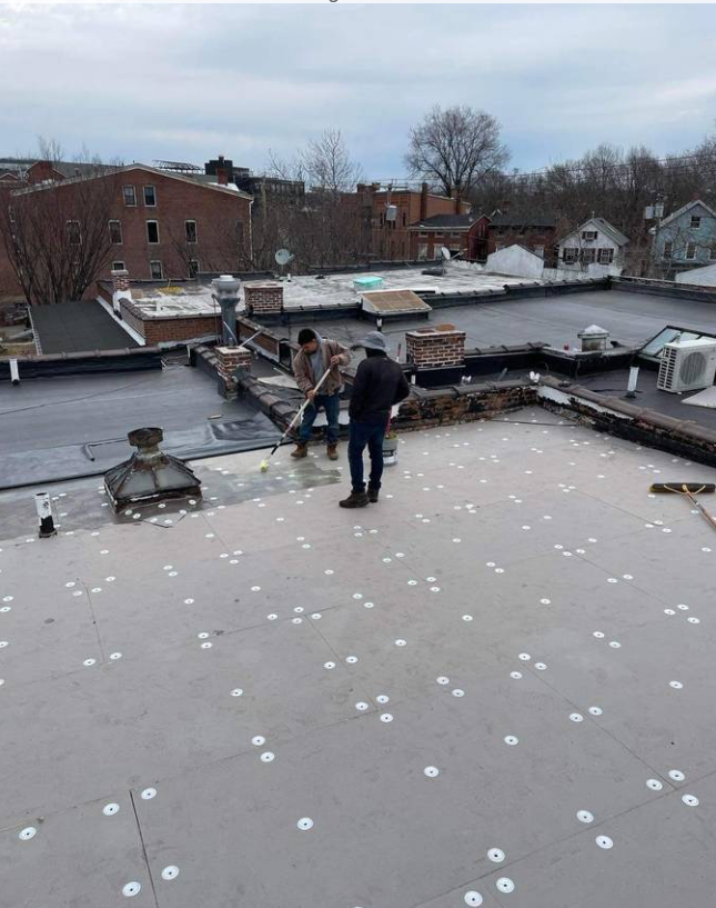 Gray Membrane Flat Roof